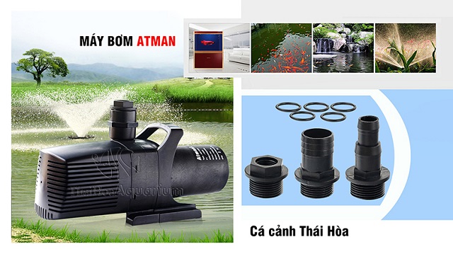 Hình ảnh Máy bơm Atman MP rất đa năng