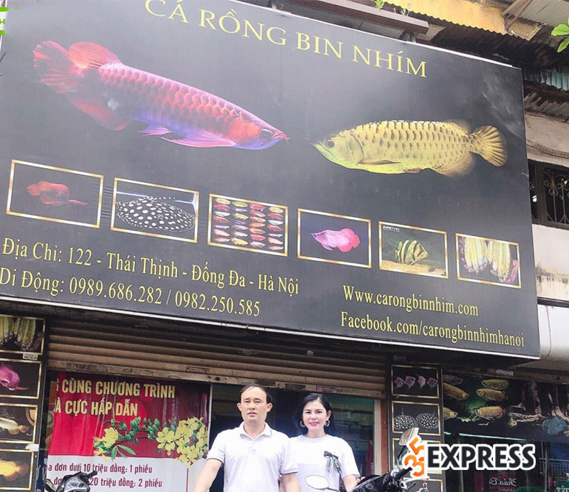 ca-rong-bin-nhim-ha-noi-35express