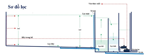 Khám phá hệ thống thiết kế lọc cho hồ cá Koi đạt chuẩn, khoa học