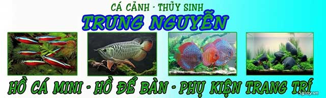 Cửa hàng cá cảnh Trung Nguyễn