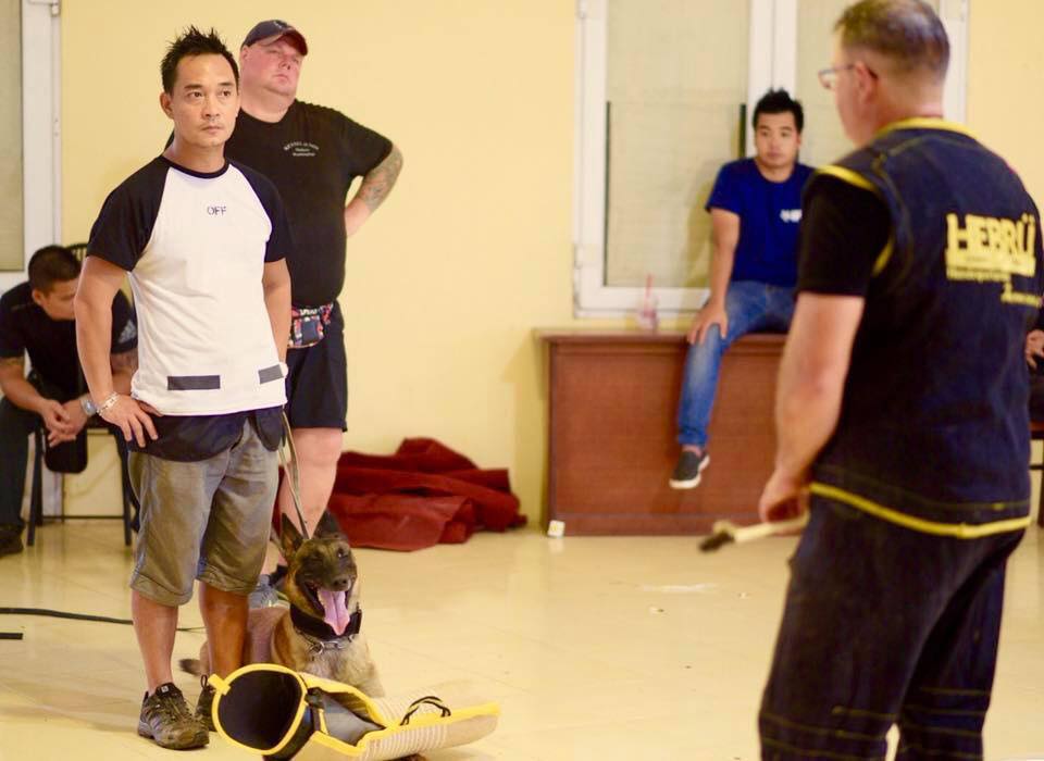 Hình ảnh chó Begcie Bỉ trong quá trình đào tạo huấn luyện