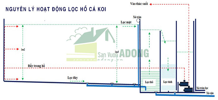 nguyen ly hoat dong loc ho ca koi