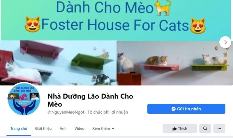 nha duòn lao danh cho meo