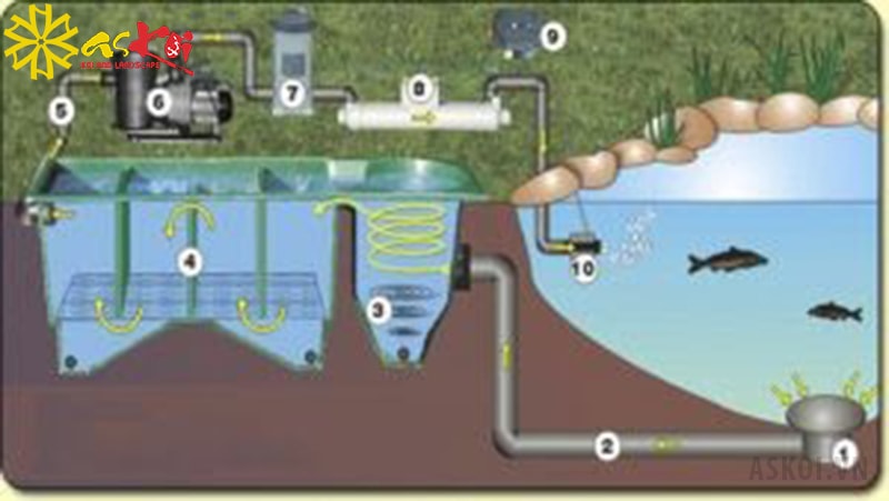 Mô hình lọc sử dụng ống hút đáy và hút mặt cho hồ cá Koi
