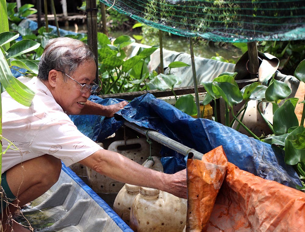 Giật mình cảnh hàng nghìn con lươn cuộn trong can nhựa