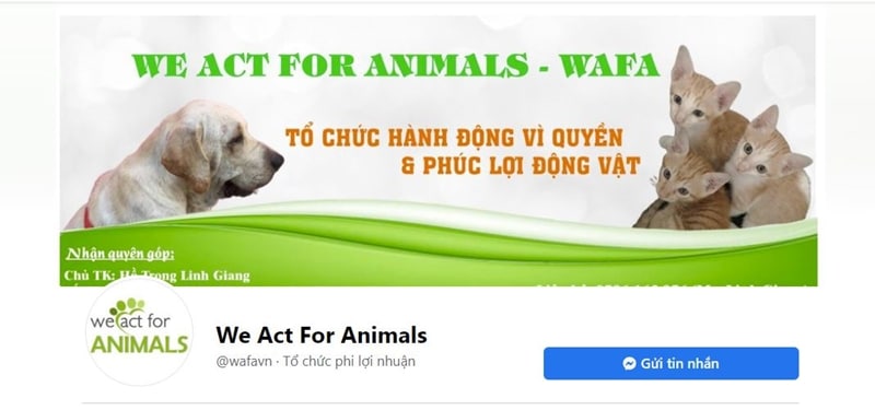 we act for animals