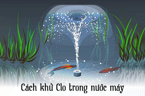 Xử lý nước máy để nuôi cá cảnh hiệu quả